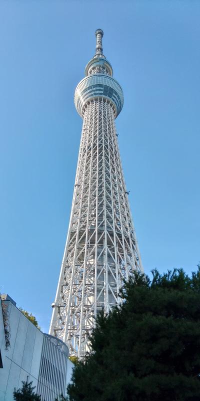 東京家族旅行　3日目（スカイツリー・後楽園）