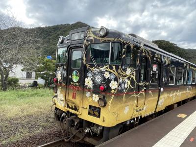 2022年10月　『うみやまむすび』に乗る旅と城崎温泉→鳥取駅からの因美線・智頭急行