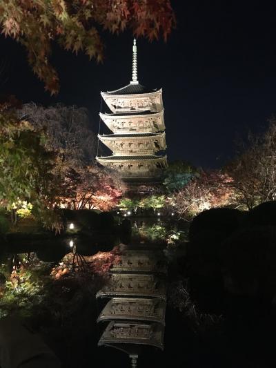 京都 1 レンタルサイクルで ② 東寺ライトアップ