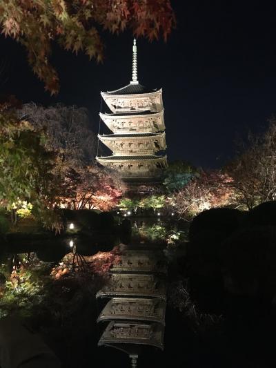 京都　1 レンタルサイクルで　② 東寺ライトアップ