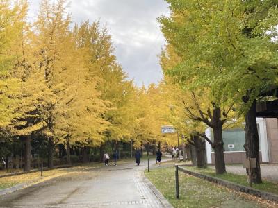 サッポロ割でサウナでととのえて（ととのったのか？）秋の札幌散歩
