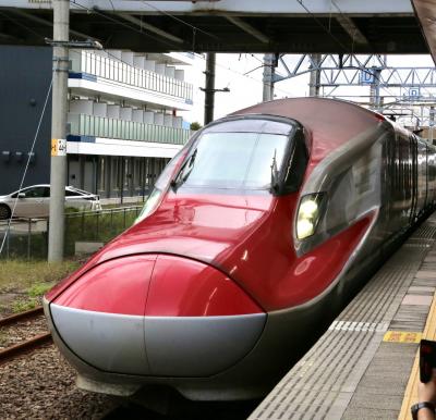 JR東日本全線に乗り放題！JR東日本パスで行く東北～関東　ほぼ一筆書きの旅⑥