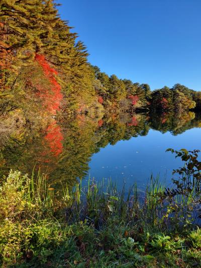 紅葉の中のトレッキング