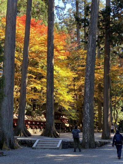 錦繍の三峯神社散策