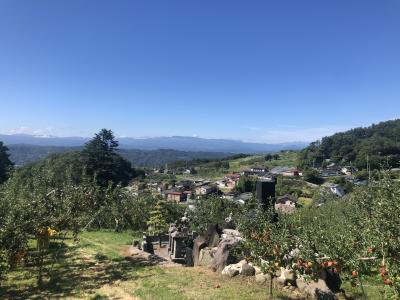 台風一過の小諸小旅行！懐古園＆菱野温泉＆りんご狩り