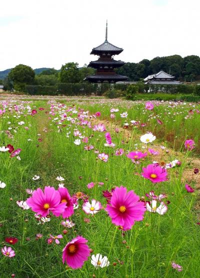秋の奈良を満喫 ～ 旧奈良刑務所、談山神社、聖林寺、阿部文殊院、興福寺、東大寺を訪ねて