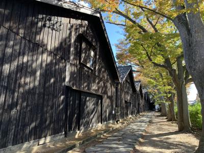 山形の旅③　時代劇村スタジオセディックと酒田・クラゲ水族館