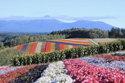 車なし！北海道～佐渡2,600㎞の一人旅①美瑛サイクリング