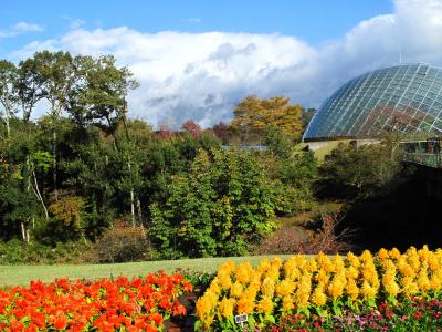 秋色染まる山陰旅情　2日目　境港ととっとり花回廊