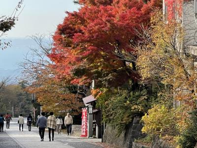 紅葉の大山寺参道