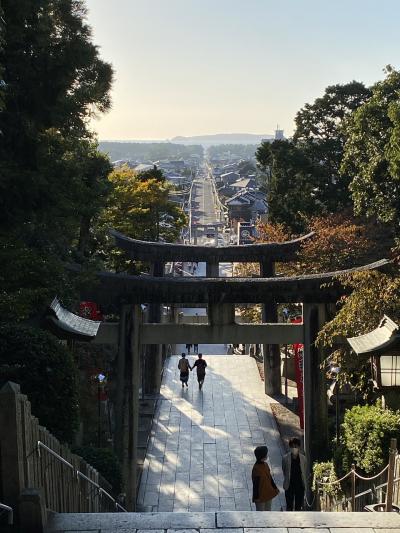 どこかにマイルで福岡へ