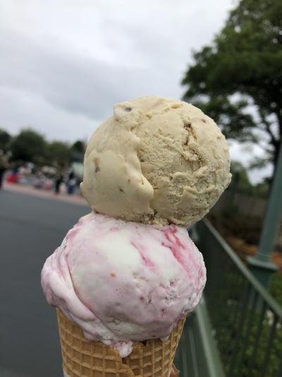 おひとりさまディズニー旅