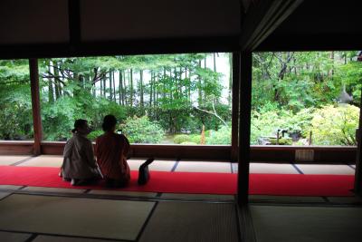 そうだ京都へ行こう2022.10　その7かなり雨降る中、大原の勝林院からJR東海のTVCFで有名になった宝泉院へ。