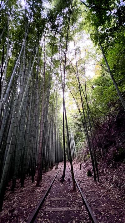 鳥取砂丘と出雲大社2日目