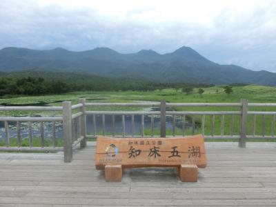 2022夏 北海道12：知床五湖の五湖を巡る大ループを歩きエゾシカと出会うもヒグマと遭えず残念!?
