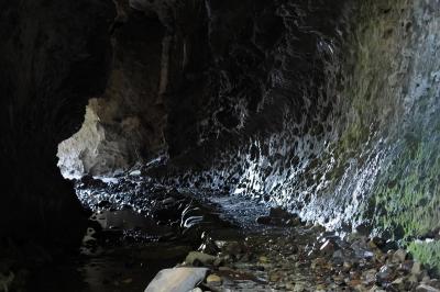 四国３県秋晴れの旅　高知県③伊尾木洞と岩本寺