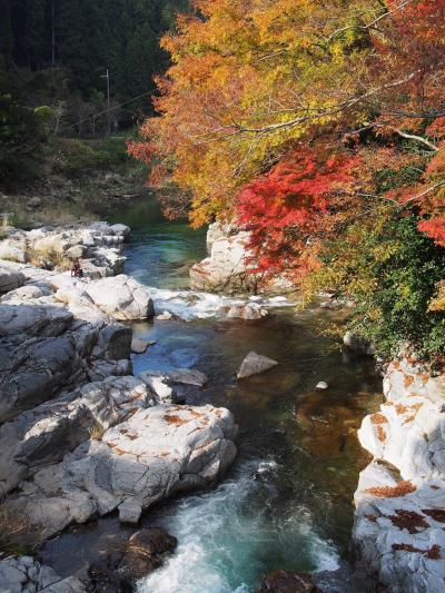 滝メグラーが行く１７５　奥香落の紅葉と曽爾村の滝めぐり　長走りの滝と済浄坊の滝