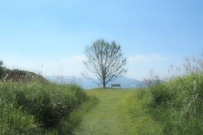 遥かなる大草原 そして西方の多島海へ☆2022秋 阿蘇＆天草の旅〈１〉高原を渡る風（阿蘇編）