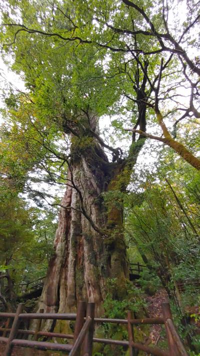 有給４０日消化の日本一周（屋久島編）