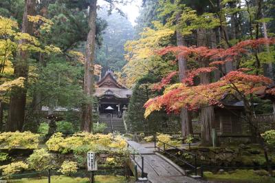 しだれ桜とヒカリゴケで有名な光前寺