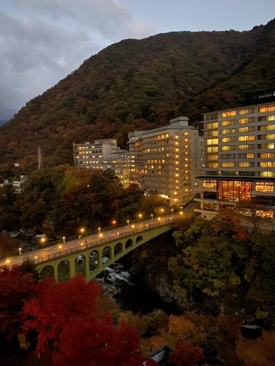 紅葉の塩原温泉郷・鬼怒川１泊２日旅行【２】鬼怒川観光ホテル、龍王峡、鬼怒楯岩大吊橋、佐野、等