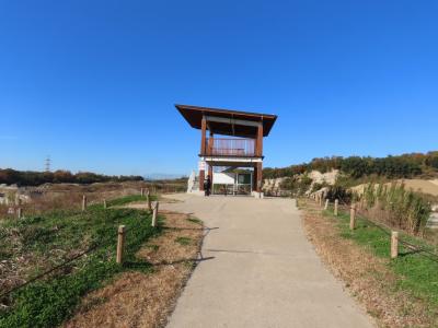 京都 城陽五里五里の丘(Gorigori Hill,Joyo,Kyoto,Japan)