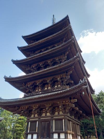 奈良に行って来ました(興福寺編)