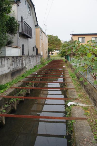 白岡・蓮田へ