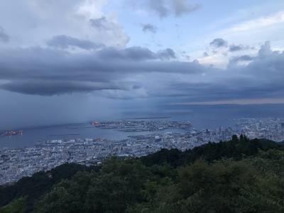 ひさびさの空旅と名画鑑賞、異国情緒溢れる街を歩き「西洋気分」 大塚国際美術館・神戸の旅 【１２】1日目⑫ 美しき神戸の夜景？ではなく夕景