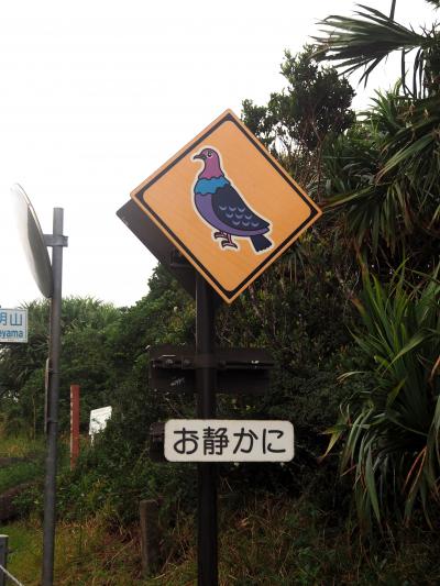 小笠原諸島 父島へ一人旅２*・゜・*雨に振り回された１日、森歩きへ*・゜・*