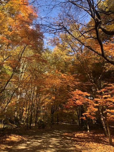 晩秋の国営アルプスあづみの公園2022