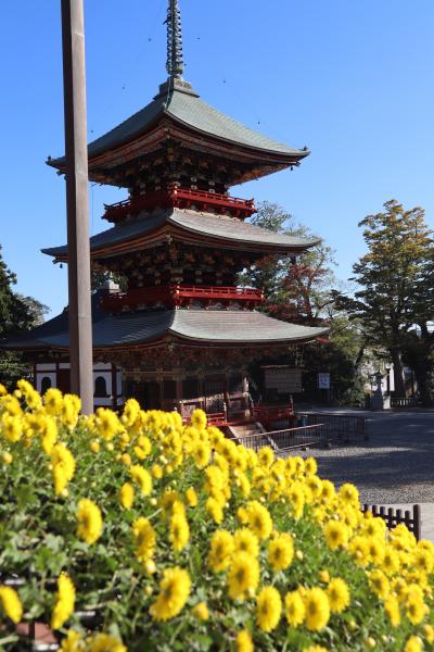 １１月初めの成田山新勝寺☆成田山書道美術館☆名取亭☆2022/11/02