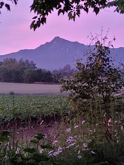 おじじとおばぁのマイカーぐるり旅 知床から稚内へ 広い民泊を拠点に