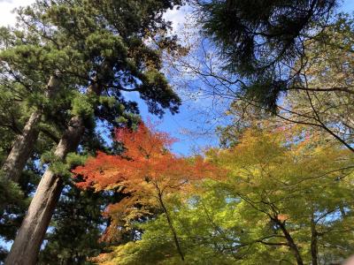 1泊2日でも2県！福井県・永平寺＆滋賀県・琵琶湖へ　紅葉欲張り旅～