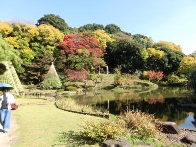 神田川橋巡り１：高田馬場の神高橋から江戸川橋。