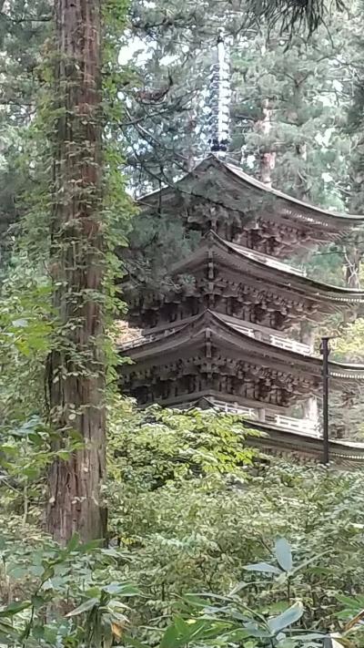 紅葉を求めて  山形の旅3