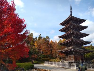 2022.11 西仙台・紅葉ドライブ紀行　紅葉より油揚げ＆おはぎ