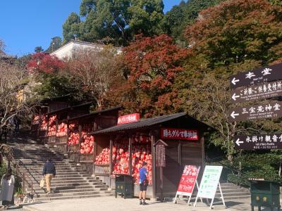 公共交通機関で日本百観音霊場巡礼　最後は西国三十三霊場　勝尾寺の紅葉には少し早かった