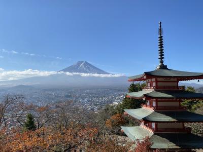 2022年11月　新倉富士浅間公園から富士山鑑賞