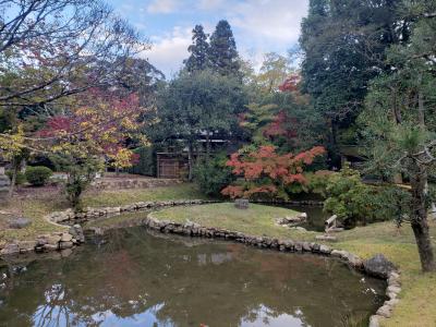 JOECOOLさんご家族と行く正倉院展~エソラベーカリー・アスターで美味しいものもいっぱい(^^♪