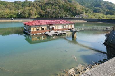 JALどこかに参るで、政府専用機隣から高知、ビックリ浮いてる水上食堂行ったりの高知ツアー編