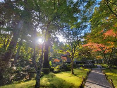 全国旅行支援『きょうと魅力再発見旅プロジェクト』で行く、大阪！？　京都