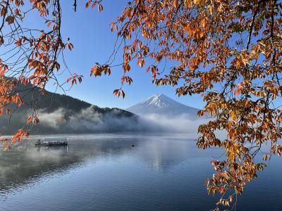 富士山と紅葉の河口湖