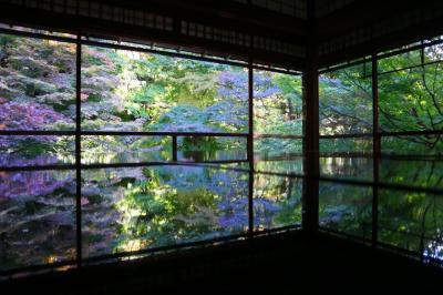 ロイヤルパークアイコニック京都 スーペリアツイン と 瑠璃光院と二条城プロジェクションマッピング