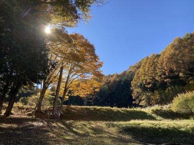 諏訪・松本・上田で買ったものだいたい全部（秋のツルヤ予習）