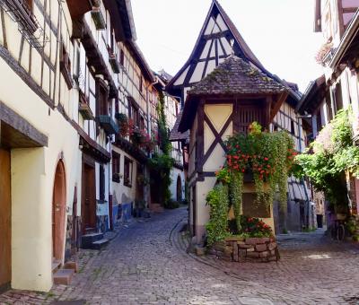 フランス東部の美しい村めぐり⑥ 5日目中盤エギスアイム