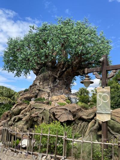 2022.10　これで最後！5度目のWDW【４】…大好きなアニマルキングダム、動物苦手だけどね