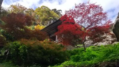 紅葉を求めて 山形の旅4