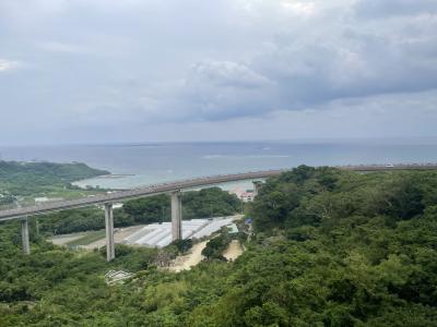 JALどこかにマイル・ぼっち旅　沖縄編