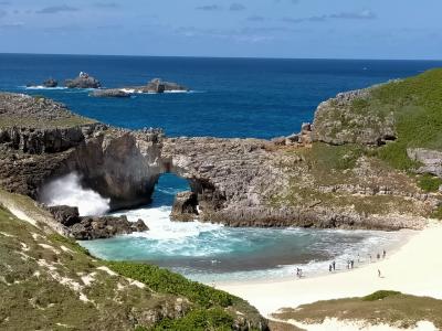 初めての小笠原諸島9泊12日の旅(1)出発～3日目編